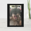 Suche nach shih tzu lustig karten Fotografie