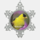 Recherche de chardonnerets ornements Oiseau