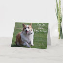 Suche nach corgi karten Tiere