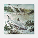 Recherche de animaux marins magnets Toute personne