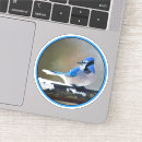 Recherche de geai bleu Peinture