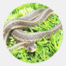 Recherche de observation autocollants Nature