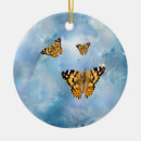 Suche nach schmetterlinge und motten ornamente Wanze