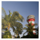 Suche nach bahamas fliesen Palme