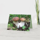 Recherche de champignon photographie Blanc