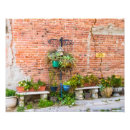 Suche nach blumentöpfe poster Pflanze