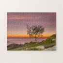 Recherche de florianopolis Horizontal