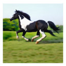 Recherche de chevaux galopants posters Pour elle