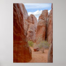 Suche nach fins poster Natur