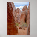 Suche nach flosse kunst Natur