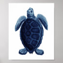 Recherche de tortues posters Pour elle