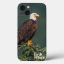 Recherche de ornithologie électronique Observation d'oiseau