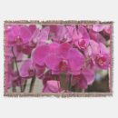 Suche nach orchidee decken Blume
