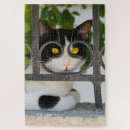 Recherche de chats drôles puzzles Pour elle