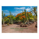 Suche nach fuerteventura poster Spinnen