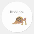 Recherche de tortues autocollants Pour enfants