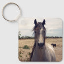 Suche nach arab accessoires Pferd