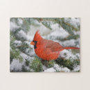 Suche nach brust puzzle Vogelvogel