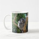 Recherche de koala bébé tasses L'australie