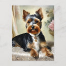 Recherche de yorkshire terrier chien cartes postales Mignonne