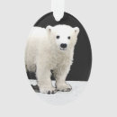 Recherche de ours blancs ornements Pour tous