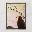 Suche nach freier vogel postkarten Himmel