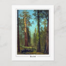 Suche nach mariposa poster Sequoia