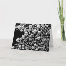 Recherche de asie invitations Fleurs