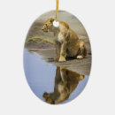 Suche nach wilde katzen ornamente Zoo