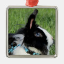 Recherche de de lapin de pâques ornements Ferme