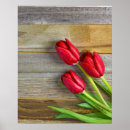 Suche nach rote tulpen poster Rustikal