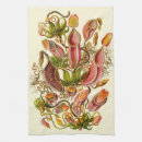 Suche nach botanische illustration geschirr tücher Botanik