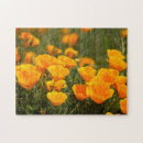 Recherche de coquelicot puzzles Orange