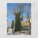 Recherche de baume cartes postales Arbre