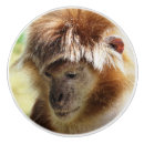 Recherche de singe boutons et poignées de porte Animaux