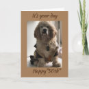 Suche nach cocker spaniel geburtstag karten Fotografie