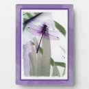 Recherche de libellules plaques Nature
