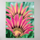 Suche nach hot poster Botanisch
