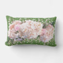 Recherche de dentelle blanche coussins Rose