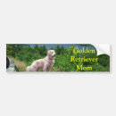 Suche nach golden retriever autoaufkleber Welpe