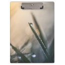 Recherche de herbe porte blocs Meadow
