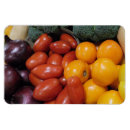 Suche nach tomaten magnete Gartenarbeit