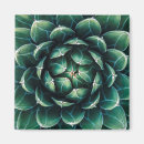 Suche nach succulents magnete Pflanze