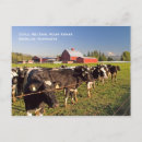 Suche nach rote kuh postkarten Scheune