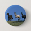 Suche nach araber buttons Bob langrish