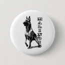 Suche nach belgische malinois buttons Welpe