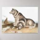 Recherche de esquimaux posters Vintage