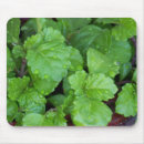 Suche nach tröpfchen mousepads Grün