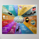 Recherche de neurosciences posters Psychiatrie