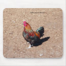 Suche nach hähne mousepads Hähnchen